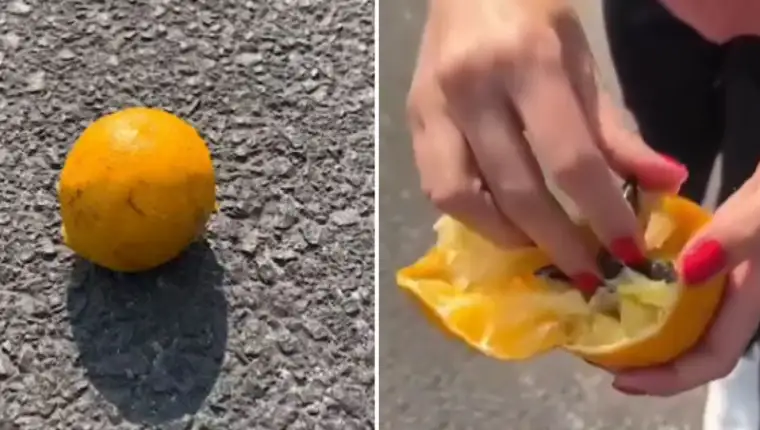 šiljci u voću krađa auta
