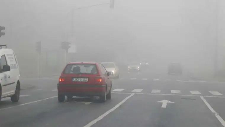 l_fa3878bec561fd1493a56325baba0db9
