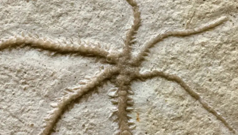 Snimka zaslona 2024-05-16 155529