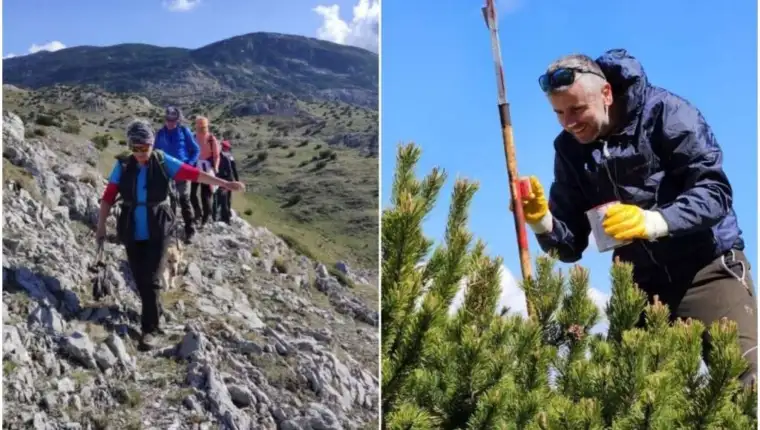 planinari bjelašnica