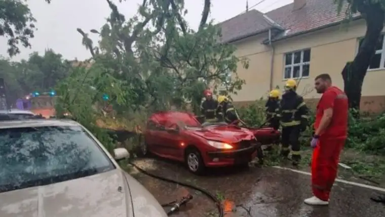 tragedija