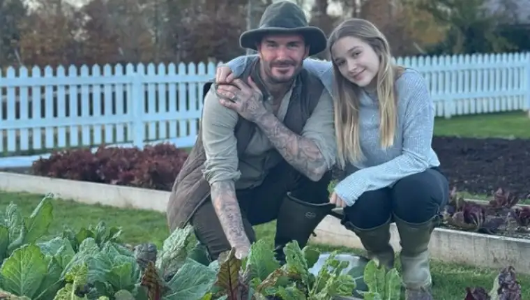 david beckham bašta