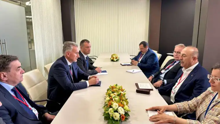 delegacije