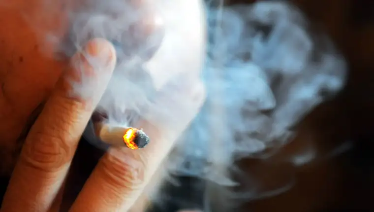 cigareta