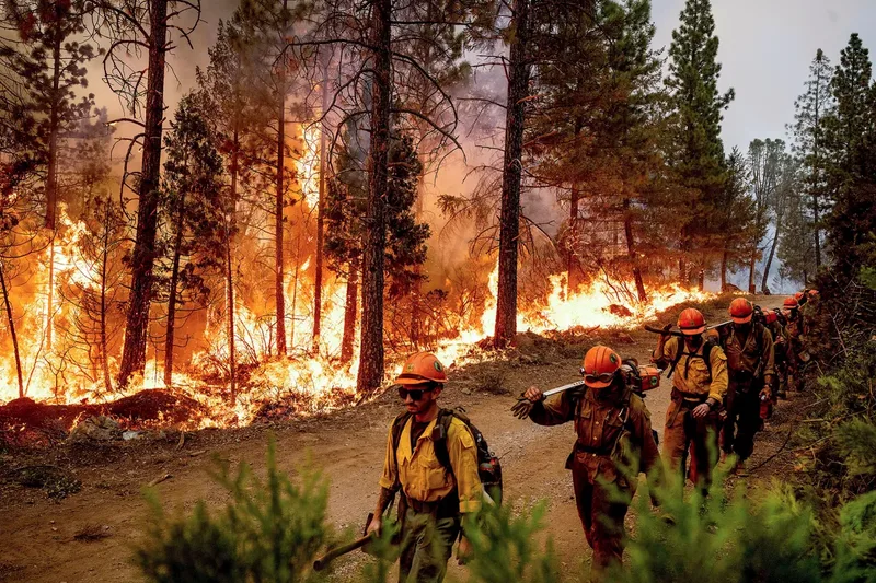 112822-WildFire-NB-AP-CM-1
