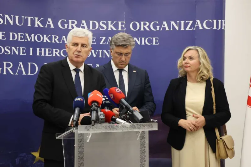 covic i plenkovic