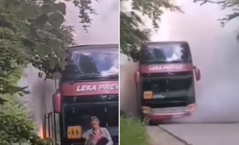 autobus 5