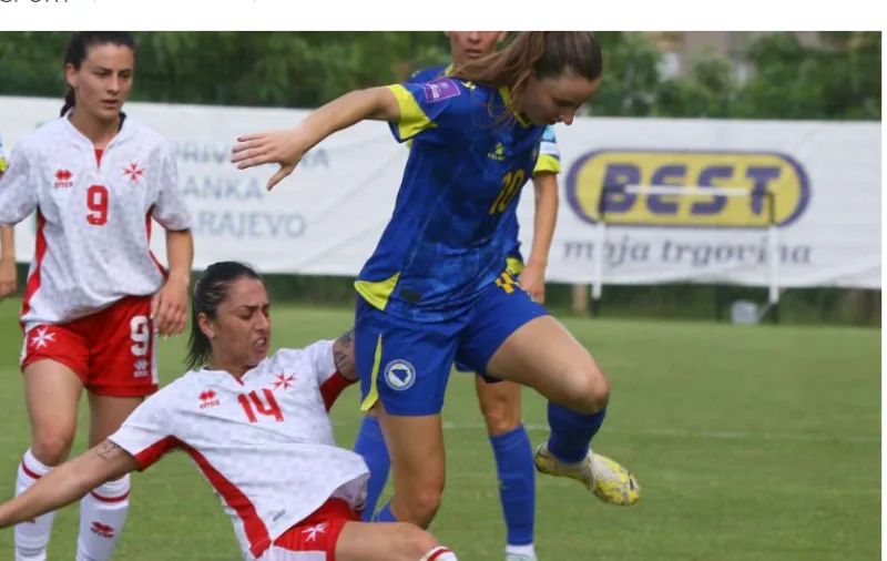 nikolic 4
