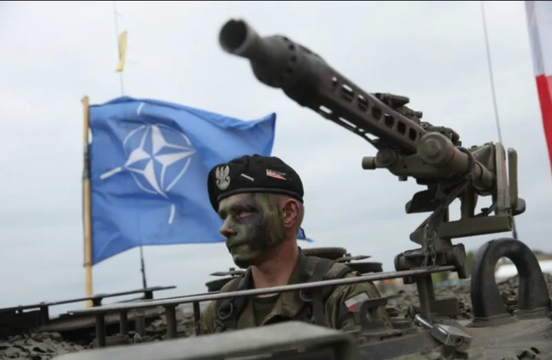 nato 6