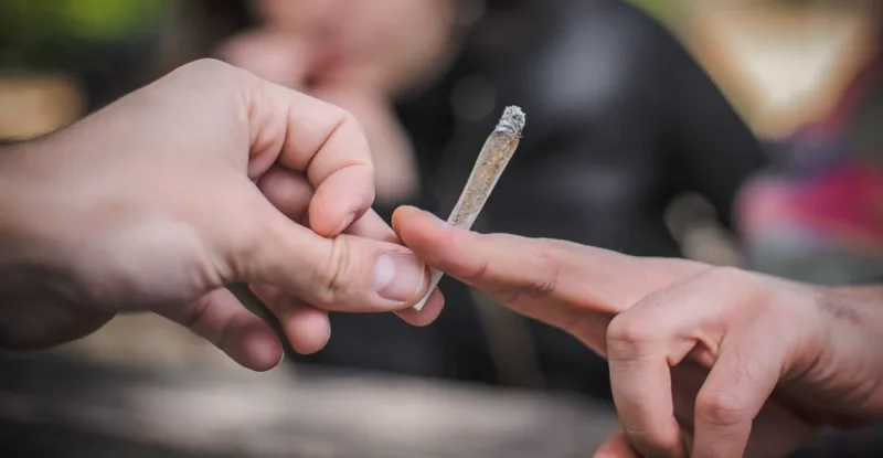 marihuana