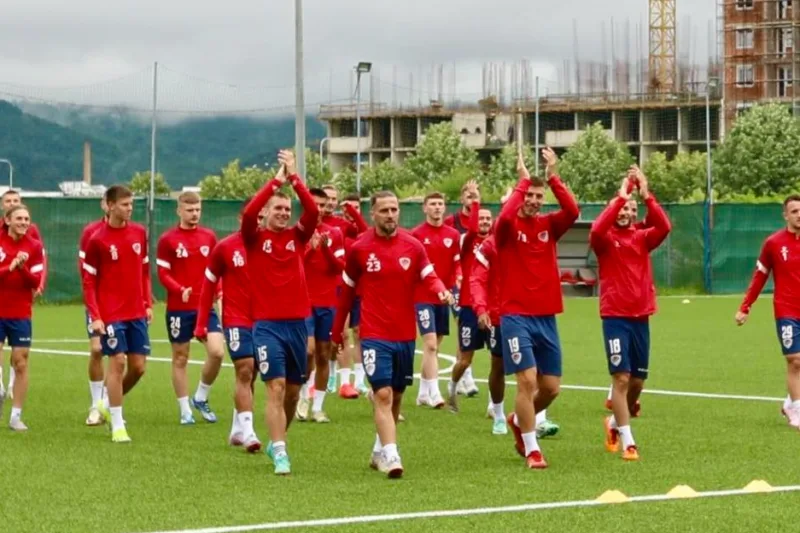 fo borac 4
