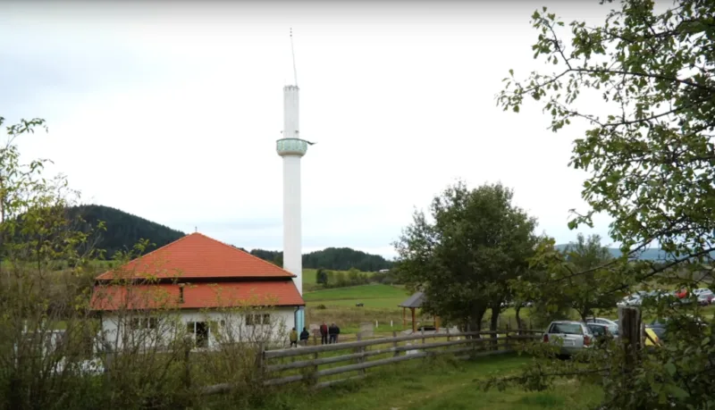 godimlje