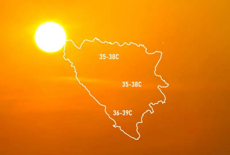 prognoza
