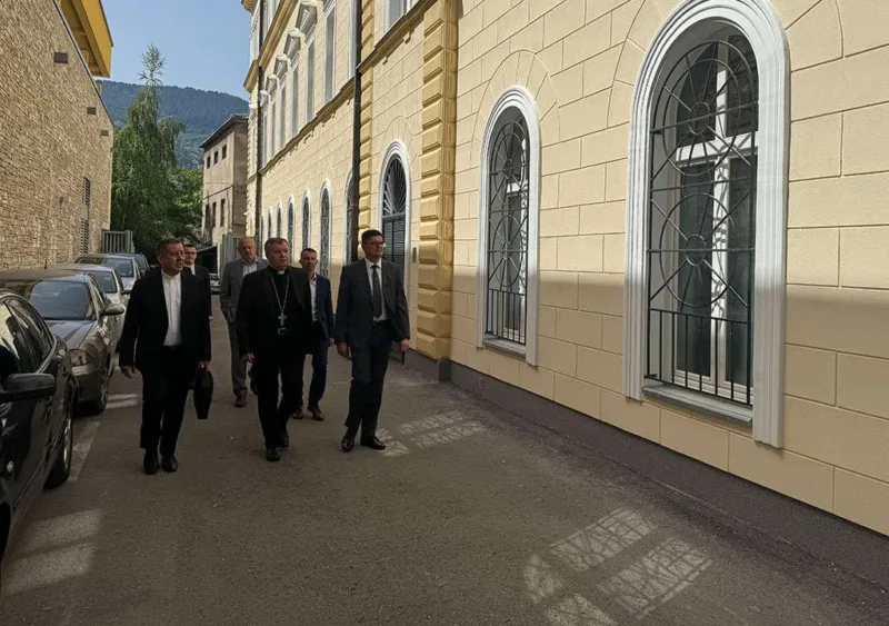 vuksic nedic