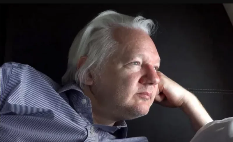 assange 9
