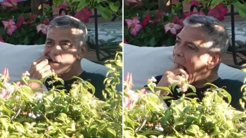 george clooney