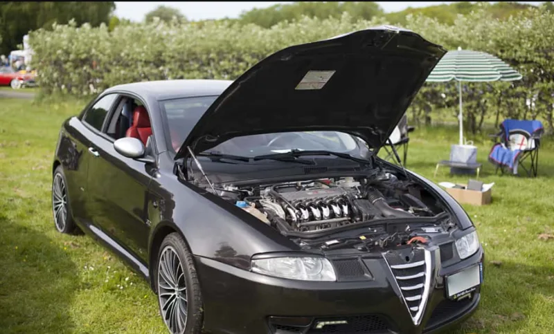 alfa gt