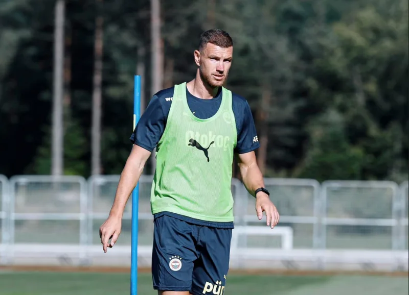 edin džeko.jpg