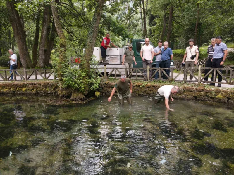 pastrmka poribljavanje vrelo bosne