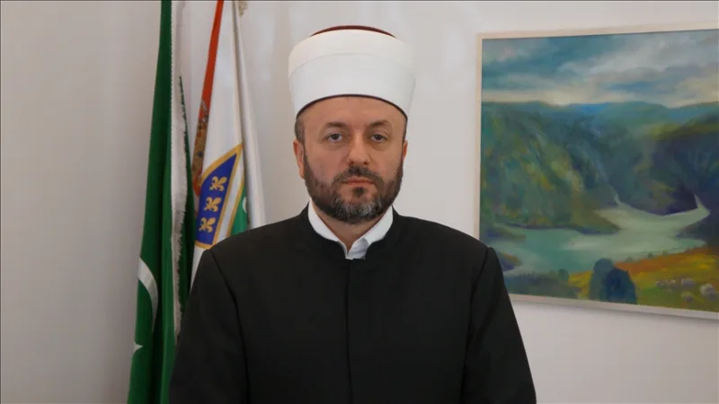 senad halitovic