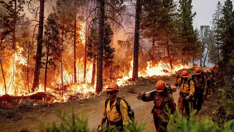 112822-WildFire-NB-AP-CM-1