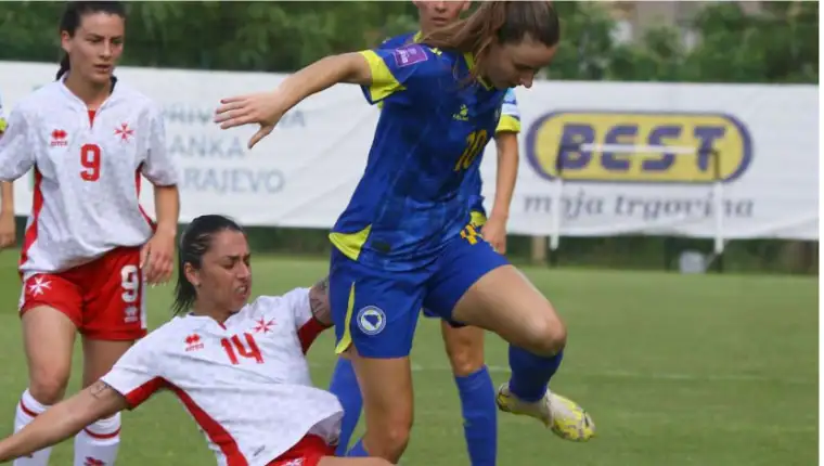 nikolic 4