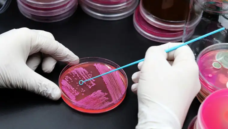 laboratorija11