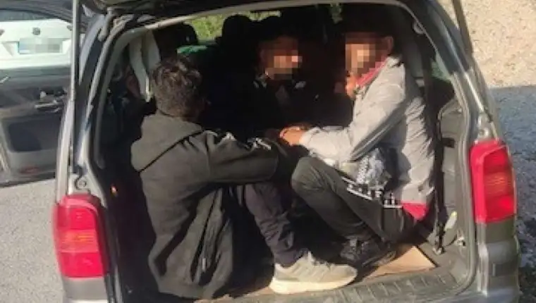 migranti