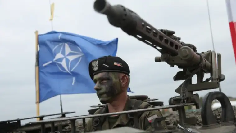 nato 6