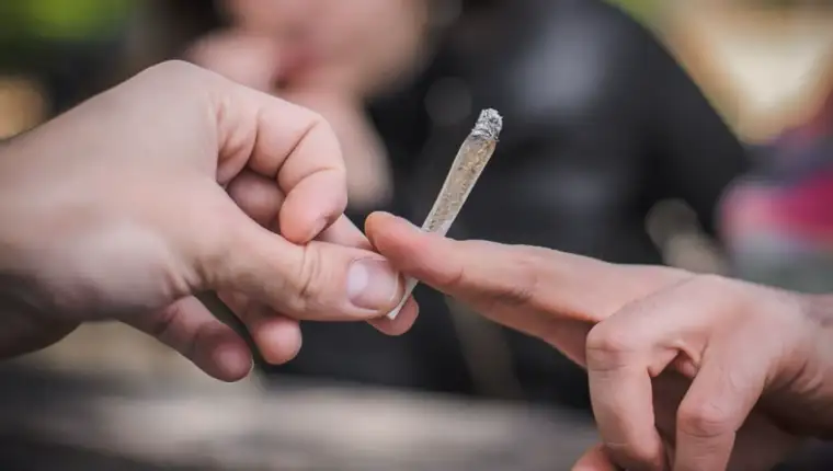 marihuana