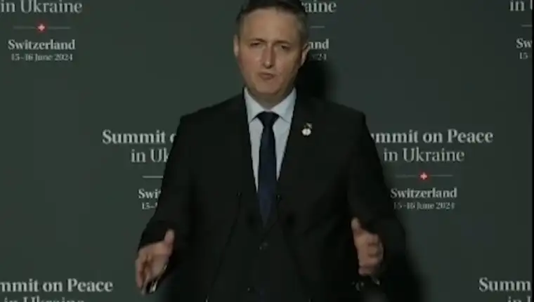 denis bećirović