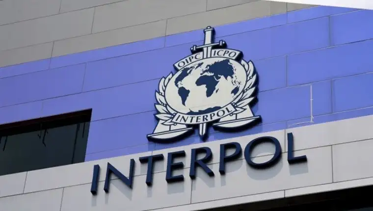 interpol crna gora