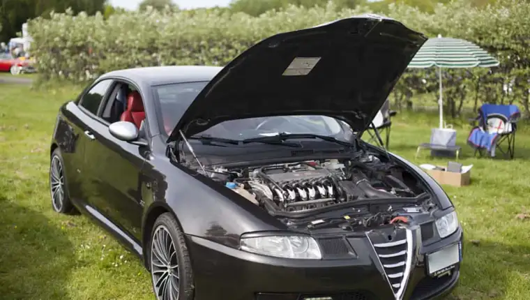 alfa gt