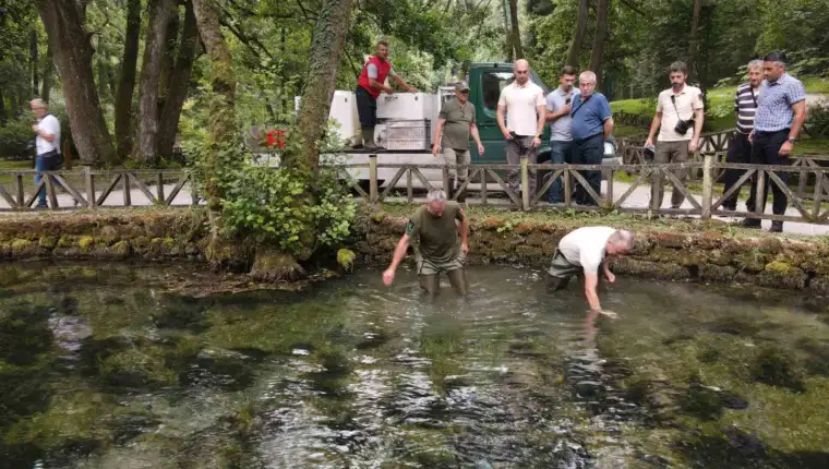 pastrmka poribljavanje vrelo bosne