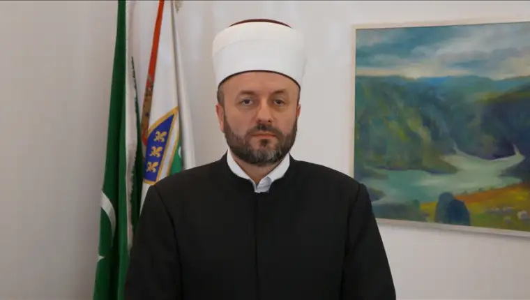 senad halitovic