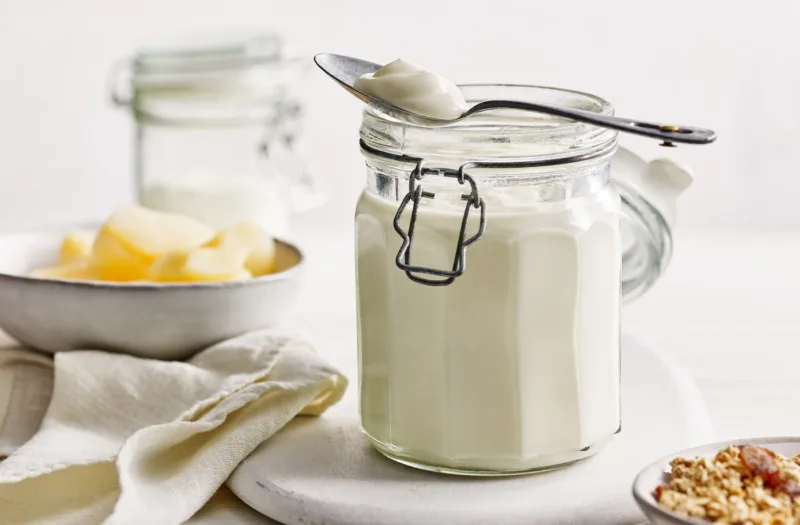jogurt