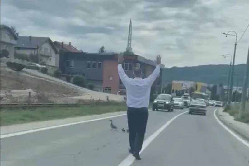 pačići