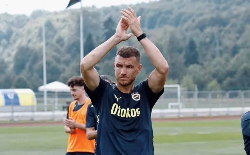 dzeko