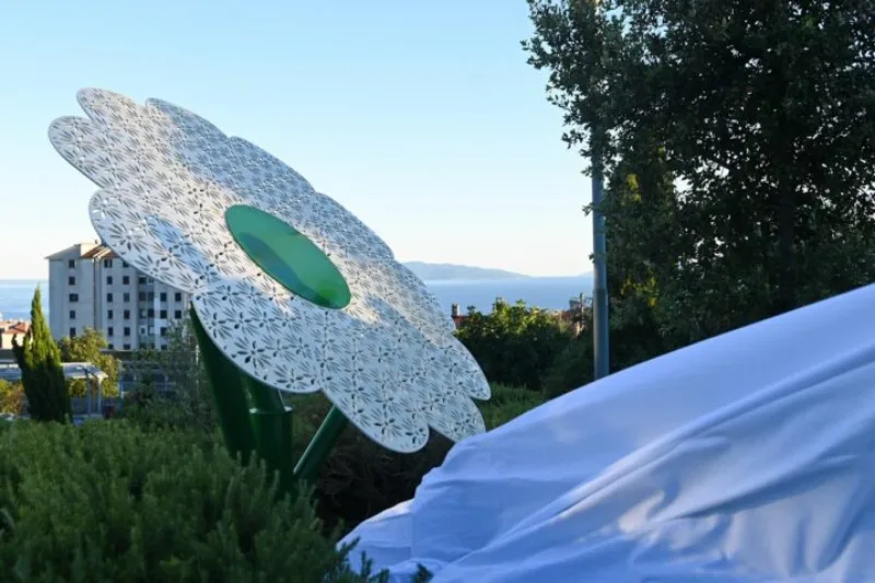 cvijet srebrenice
