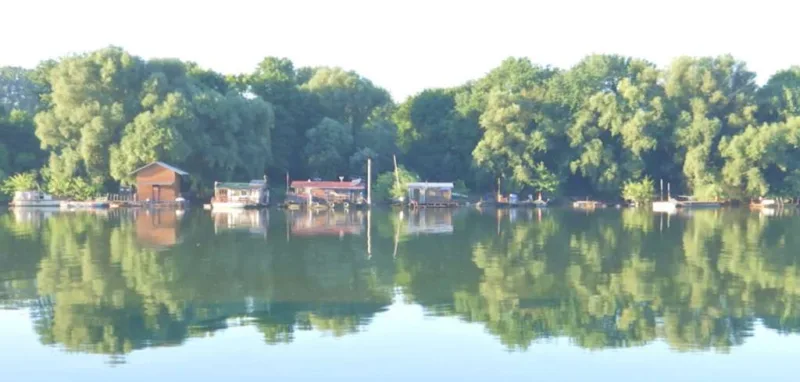 sava