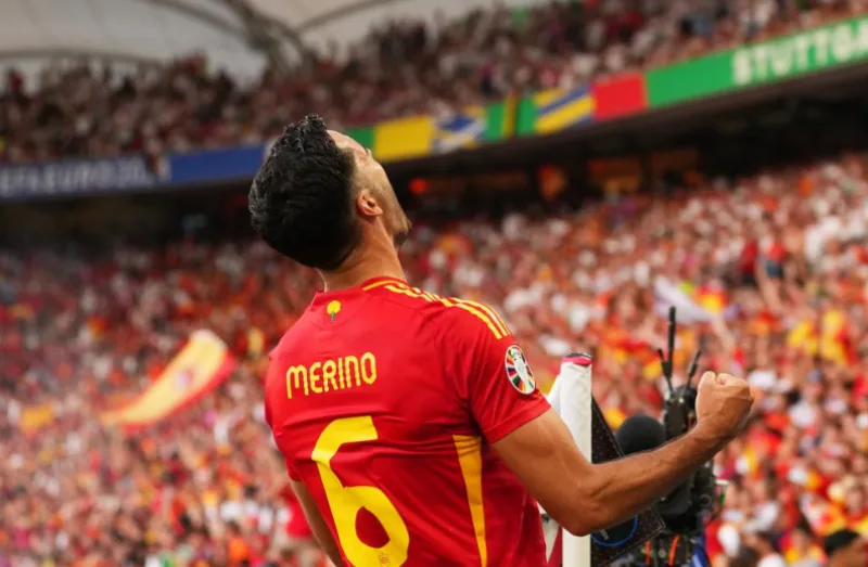 merino 2
