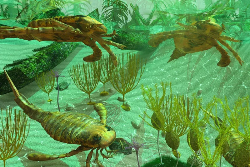 Cambrian explosion