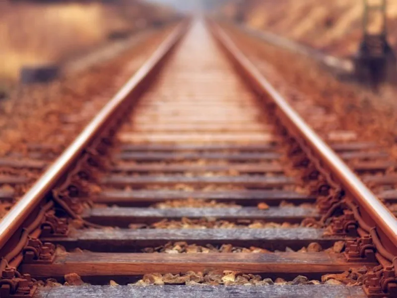 pruga-_-sine-_-Foto-Unsplash