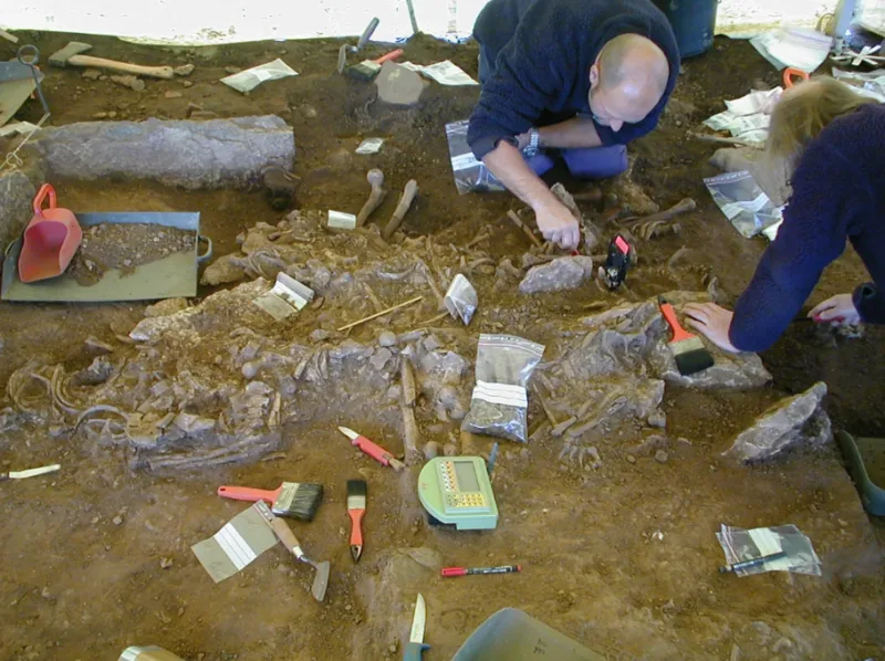 arheolozi svedska
