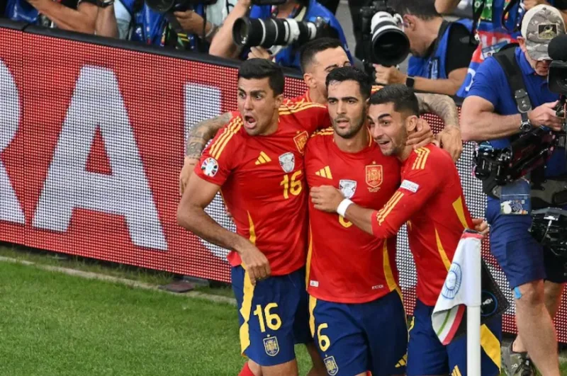 merino