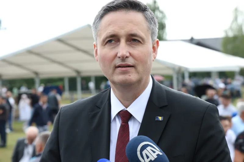 denis becirovic