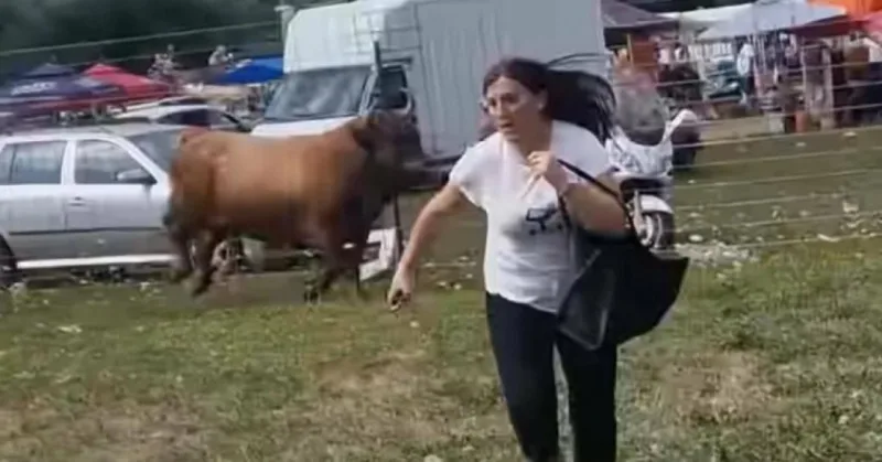 posušje korida