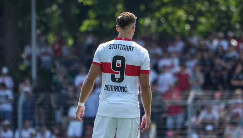DEMIROVIC1