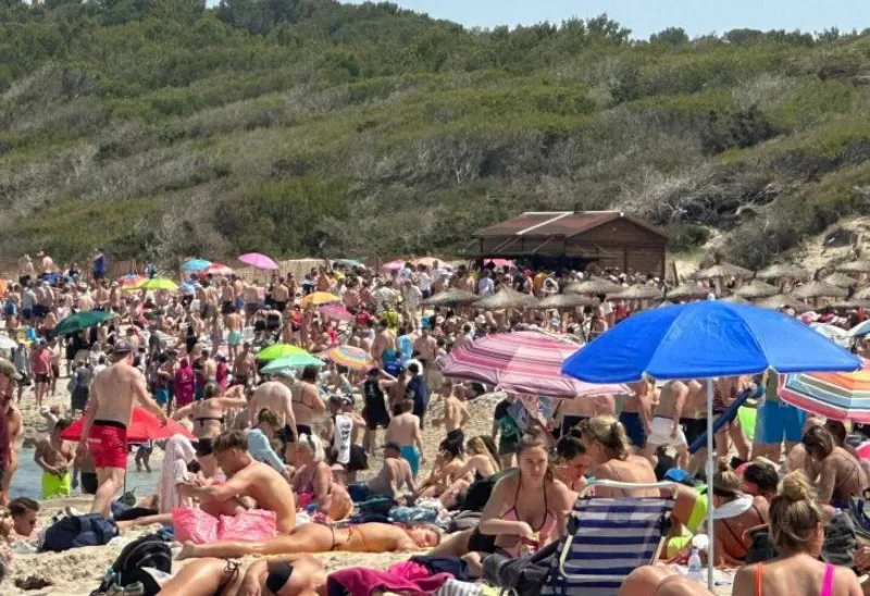 mallorca turisti