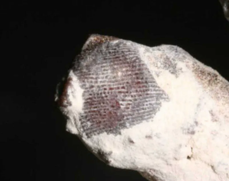 mumija